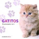 CALENDARIO 2011 GATITOS | 9788448068240 | AA.VV. | Llibreria Drac - Llibreria d'Olot | Comprar llibres en català i castellà online