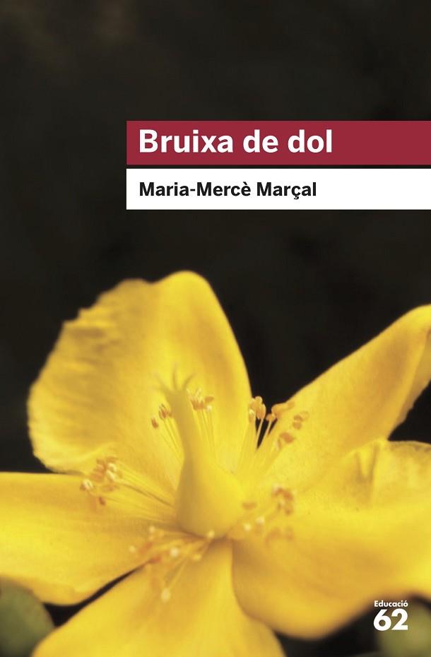 BRUIXA DE DOL (1977-1979) | 9788415954736 | MARÇAL, M. MERCÈ | Llibreria Drac - Llibreria d'Olot | Comprar llibres en català i castellà online