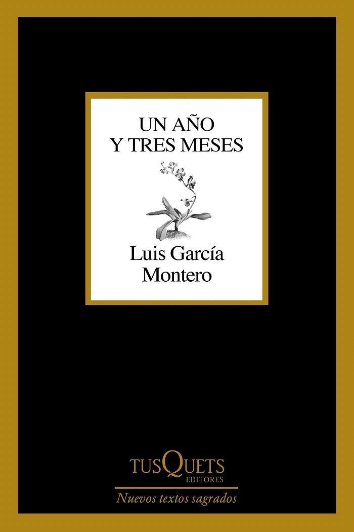 UN AÑO Y TRES MESES | 9788411071475 | GARCÍA MONTERO, LUIS | Llibreria Drac - Llibreria d'Olot | Comprar llibres en català i castellà online