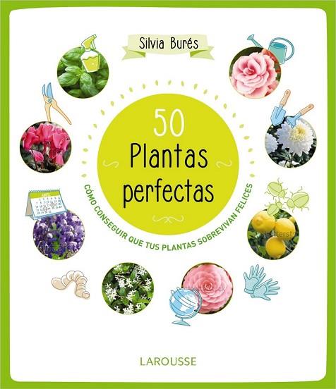 50 PLANTAS PERFECTAS | 9788415785897 | BURÉS, SILVIA | Llibreria Drac - Llibreria d'Olot | Comprar llibres en català i castellà online