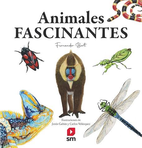 ANIMALES FASCINANTES | 9788413922188 | BORT, FERNANDO | Llibreria Drac - Llibreria d'Olot | Comprar llibres en català i castellà online