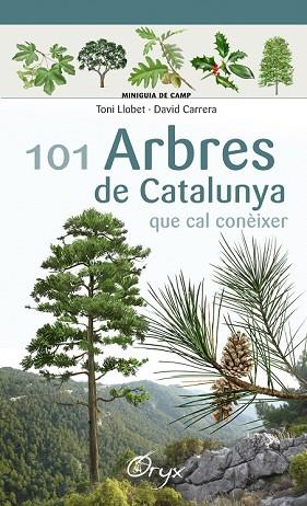 101 ARBRES DE CATALUNYA QUE CAL CONEIXER | 9788490346778 | LLOBET, TONI; CARRERA, DAVID | Llibreria Drac - Llibreria d'Olot | Comprar llibres en català i castellà online