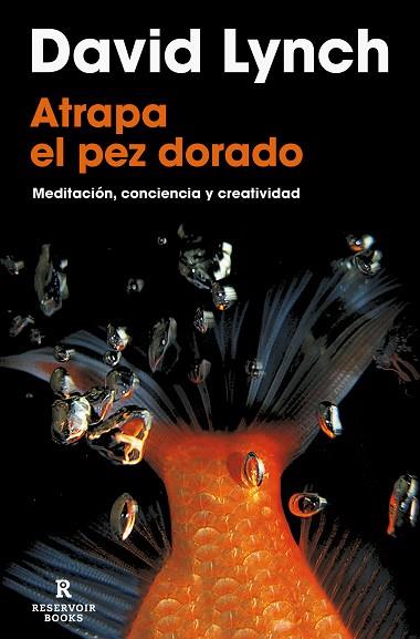 ATRAPA EL PEZ DORADO | 9788418897436 | LYNCH, DAVID | Llibreria Drac - Llibreria d'Olot | Comprar llibres en català i castellà online