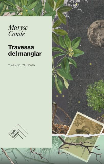 TRAVESSA DEL MANGLAR | 9788419515001 | CONDÉ, MARYSE | Llibreria Drac - Llibreria d'Olot | Comprar llibres en català i castellà online