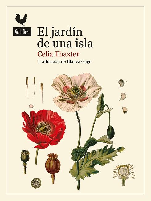 JARDÍN DE UNA ISLA, EL | 9788419168139 | THAXTER, CELIA | Llibreria Drac - Librería de Olot | Comprar libros en catalán y castellano online