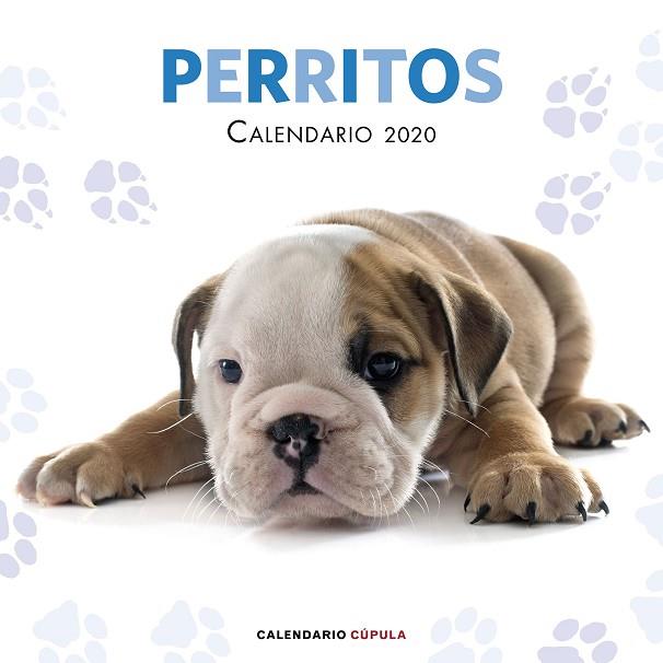CALENDARIO PERRITOS 2020 | 9788448026158 | AA. VV. | Llibreria Drac - Llibreria d'Olot | Comprar llibres en català i castellà online