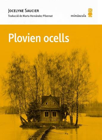 PLOVIEN OCELLS | 9788412662092 | SAUCIER, JOCELYNE | Llibreria Drac - Llibreria d'Olot | Comprar llibres en català i castellà online