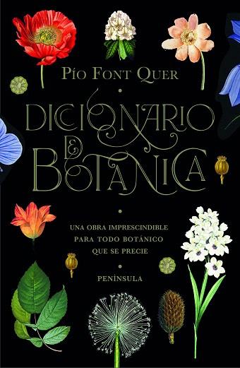 DICCIONARIO DE BOTÁNICA | 9788499429076 | FONT QUER, PÍO | Llibreria Drac - Llibreria d'Olot | Comprar llibres en català i castellà online