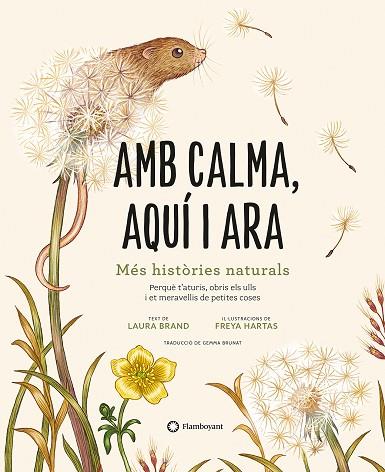 AMB CALMA, AQUÍ I ARA | 9788419401120 | BRAND, LAURA | Llibreria Drac - Llibreria d'Olot | Comprar llibres en català i castellà online