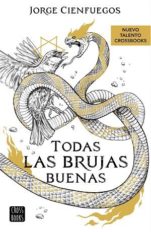 TODAS LAS BRUJAS BUENAS | 9788408260066 | CIENFUEGOS, JORGE | Llibreria Drac - Llibreria d'Olot | Comprar llibres en català i castellà online