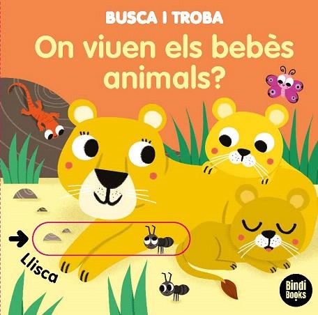 ON VIUEN ELS BEBÈS ANIMALS? | 9788418288005 | BARETTI, SONIA | Llibreria Drac - Librería de Olot | Comprar libros en catalán y castellano online