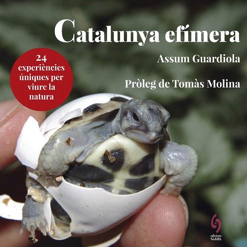 CATALUNYA EFÍMERA | 9788494928147 | GUARDIOLA, ASSUM | Llibreria Drac - Librería de Olot | Comprar libros en catalán y castellano online