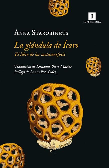 GLÁNDULA DE ÍCARO, LA | 9788419581020 | STAROBINETS, ANNA | Llibreria Drac - Llibreria d'Olot | Comprar llibres en català i castellà online