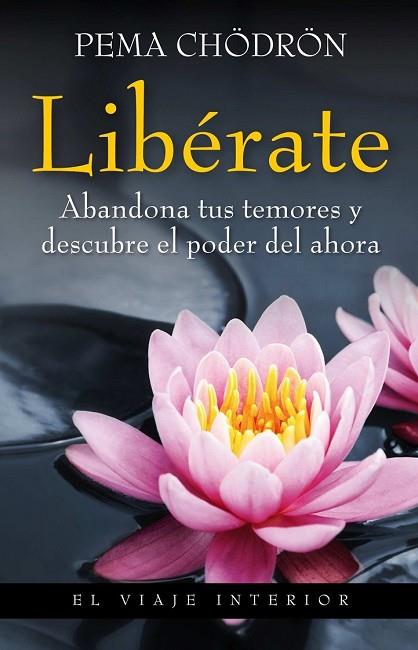 LIBERATE | 9788497545235 | CHODRON, PEMA | Llibreria Drac - Llibreria d'Olot | Comprar llibres en català i castellà online