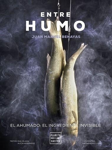 ENTRE HUMO | 9788408271048 | BENAYAS, JUAN MANUEL | Llibreria Drac - Llibreria d'Olot | Comprar llibres en català i castellà online