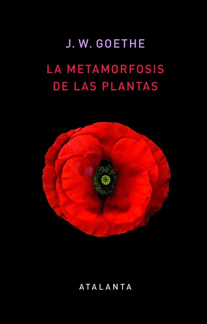 METAMORFOSIS DE LAS PLANTAS, LA | 9788412074345 | GOETHE, JOHANN WOLFGANG | Llibreria Drac - Llibreria d'Olot | Comprar llibres en català i castellà online