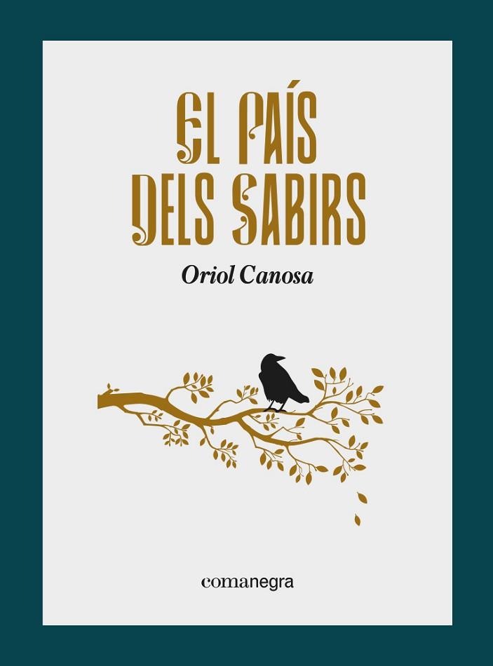 PAÍS DELS SABIRS, EL | 9788418857799 | CANOSA, ORIOL | Llibreria Drac - Llibreria d'Olot | Comprar llibres en català i castellà online