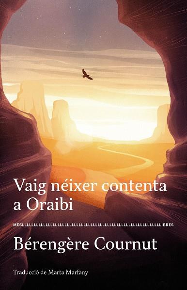VAIG NÉIXER CONTENTA A ORAIBI | 9788417353377 | COURNUT, BÉRENGÈRE | Llibreria Drac - Llibreria d'Olot | Comprar llibres en català i castellà online