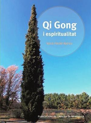 QI GONG I ESPIRITUALITAT | 9788491912149 | PINTAT, NEUS | Llibreria Drac - Llibreria d'Olot | Comprar llibres en català i castellà online