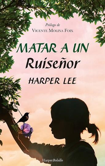 MATAR A UN RUISEÑOR | 9788417216948 | LEE, HARPER | Llibreria Drac - Llibreria d'Olot | Comprar llibres en català i castellà online