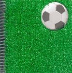 BOJOS PEL FUTBOL | 9788424620547 | MORTIMER, GAVIN; COOPER, JOHN | Llibreria Drac - Llibreria d'Olot | Comprar llibres en català i castellà online