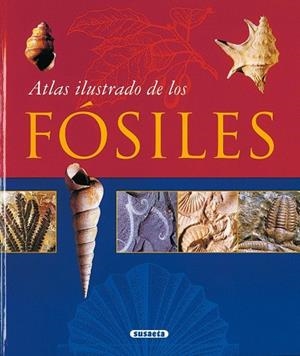 ATLAS ILUSTRADO DE LOS FOSILES | 9788430548712 | Llibreria Drac - Librería de Olot | Comprar libros en catalán y castellano online