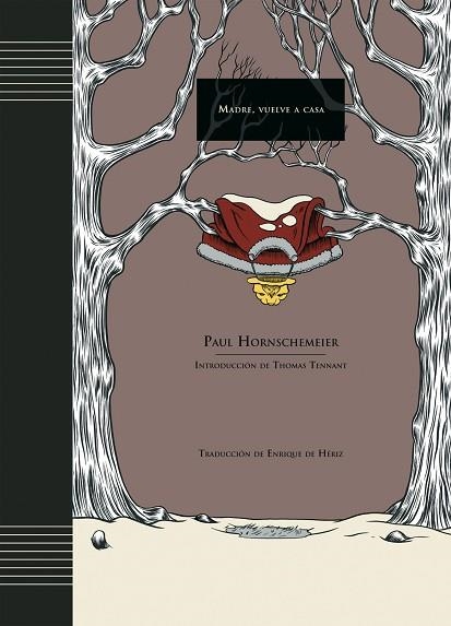 MADRE VUELVE A CASA | 9788495825421 | HORNSCHEMEIER, P. | Llibreria Drac - Llibreria d'Olot | Comprar llibres en català i castellà online