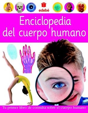 ENCICLOPEDIA DEL CUERPO HUMANO | 9788423674435 | Llibreria Drac - Llibreria d'Olot | Comprar llibres en català i castellà online
