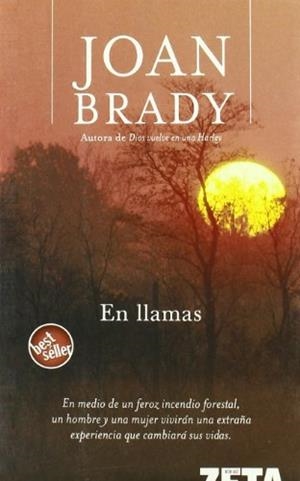 EN LLAMAS | 9788496581098 | BRADY, JOAN | Llibreria Drac - Llibreria d'Olot | Comprar llibres en català i castellà online