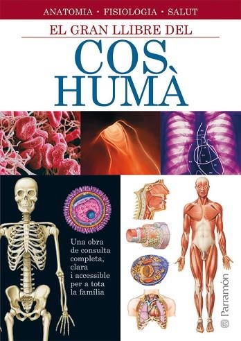 GRAN LLIBRE DEL COS HUMA, EL | 9788434228672 | VARIS | Llibreria Drac - Librería de Olot | Comprar libros en catalán y castellano online