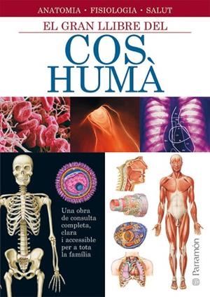 GRAN LLIBRE DEL COS HUMA, EL | 9788434228672 | VARIS | Llibreria Drac - Llibreria d'Olot | Comprar llibres en català i castellà online