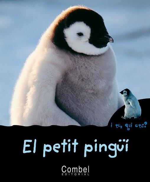 PETIT PINGUI, EL | 9788498251289 | AA.VV. | Llibreria Drac - Llibreria d'Olot | Comprar llibres en català i castellà online