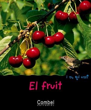 FRUIT, EL | 9788498251333 | AA.VV. | Llibreria Drac - Llibreria d'Olot | Comprar llibres en català i castellà online