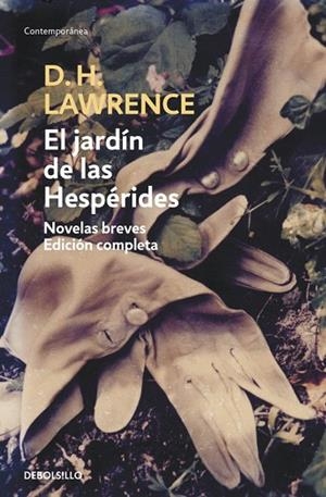 JARDIN DE LAS HESPERIDES, EL | 9788483462836 | LAWRENCE, DAVID HERBERT | Llibreria Drac - Librería de Olot | Comprar libros en catalán y castellano online