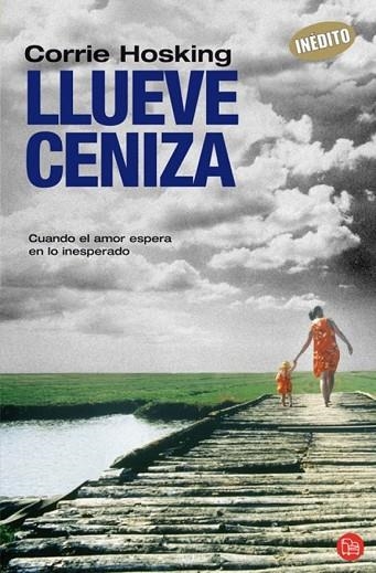 LLUEVE CENIZA | 9788466368667 | HOSKING, CORRIE | Llibreria Drac - Librería de Olot | Comprar libros en catalán y castellano online