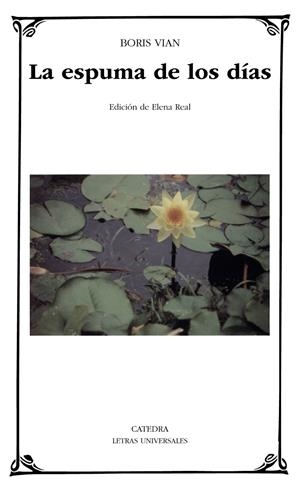 ESPUMA DE LOS DIAS, LA | 9788437617961 | VIAN, BORIS | Llibreria Drac - Llibreria d'Olot | Comprar llibres en català i castellà online
