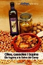OLLES CASSOLES I TUPINS. FOGONS A LA SELVA DEL CAMP | 9788497912778 | AA.VV. | Llibreria Drac - Librería de Olot | Comprar libros en catalán y castellano online