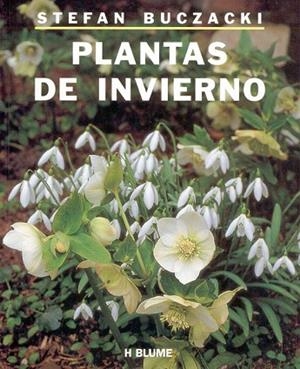 PLANTAS DE INVIERNO | 9788489840010 | BUCZACKI, STEFAN | Llibreria Drac - Librería de Olot | Comprar libros en catalán y castellano online
