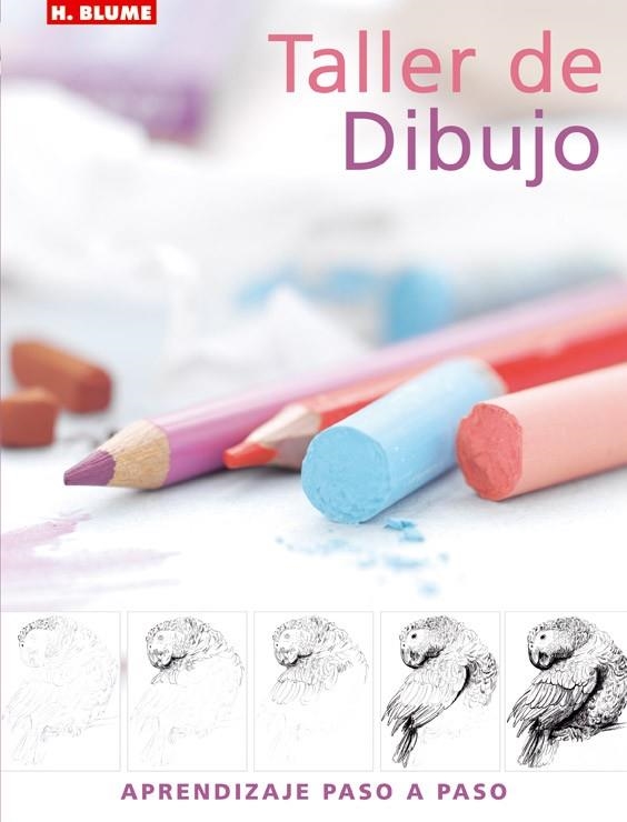 TALLER DE DIBUJO | 9788496669031 | Llibreria Drac - Librería de Olot | Comprar libros en catalán y castellano online