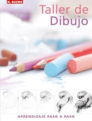 TALLER DE DIBUJO | 9788496669031 | Llibreria Drac - Librería de Olot | Comprar libros en catalán y castellano online