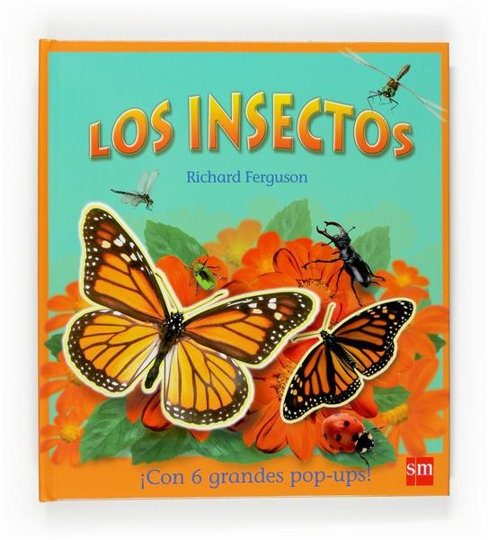 INSECTOS, LOS | 9788467519624 | FERGUSON, RICHARD | Llibreria Drac - Librería de Olot | Comprar libros en catalán y castellano online