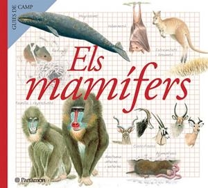 MAMIFERS, ELS | 9788434228368 | Llibreria Drac - Llibreria d'Olot | Comprar llibres en català i castellà online