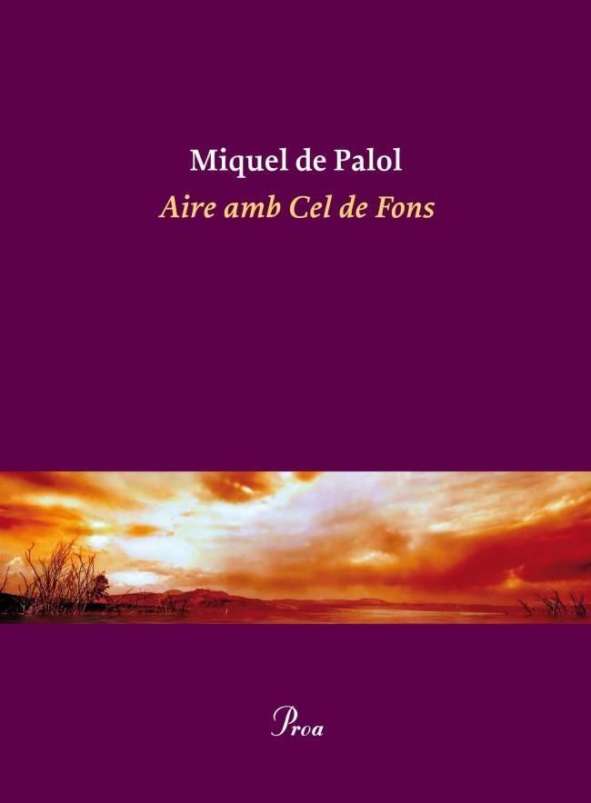 AIRE AMB CEL DE FONS | 9788475882932 | DE PALOL, MIQUEL | Llibreria Drac - Librería de Olot | Comprar libros en catalán y castellano online