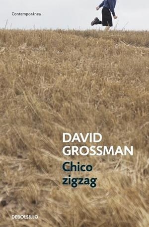 CHICO ZIGZAG | 9788499894805 | GROSSMAN, DAVID | Llibreria Drac - Librería de Olot | Comprar libros en catalán y castellano online