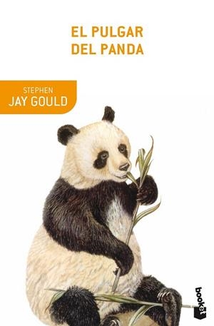 PULGAR DEL PANDA, EL | 9788408007036 | JAY, STEPHEN | Llibreria Drac - Librería de Olot | Comprar libros en catalán y castellano online
