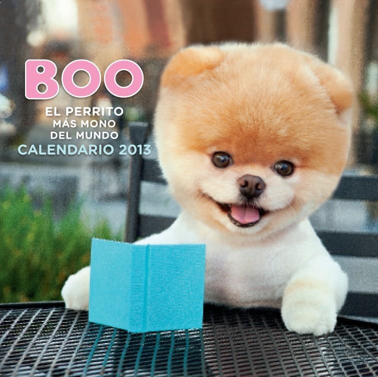 CALENDARIO 2013 BOO EL PERRITO MAS MONO DEL MUNDO | 9788448005313 | VV.AA. | Llibreria Drac - Librería de Olot | Comprar libros en catalán y castellano online