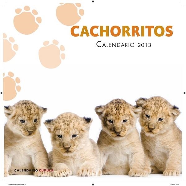 CALENDARIO CACHORRITOS 2013 | 9788448006655 | AA. VV. | Llibreria Drac - Librería de Olot | Comprar libros en catalán y castellano online