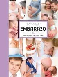 EMBARAZO | 9788480169929 | THEAU, ANNE | Llibreria Drac - Librería de Olot | Comprar libros en catalán y castellano online