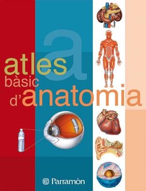 ATLES BASIC D'ANATOMIA | 9788434223134 | PARRAMON | Llibreria Drac - Librería de Olot | Comprar libros en catalán y castellano online
