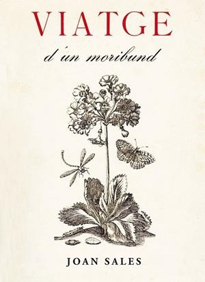 VIATGE D'UN MORIBUND | 9788473291736 | SALES, JOAN | Llibreria Drac - Librería de Olot | Comprar libros en catalán y castellano online
